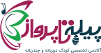 پیله تا پرواز
