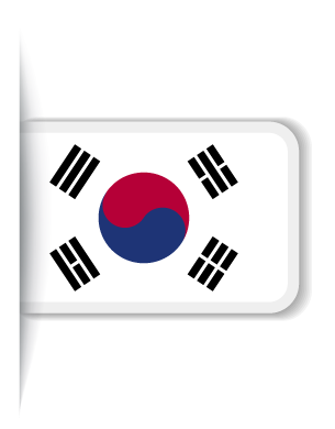 سرور کره جنوبی