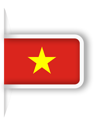 سرور اختصاصی ویتنام