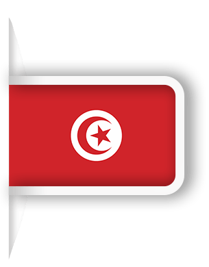 سرور اختصاصی تونس