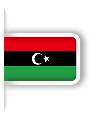 سرور اختصاصی لیبی