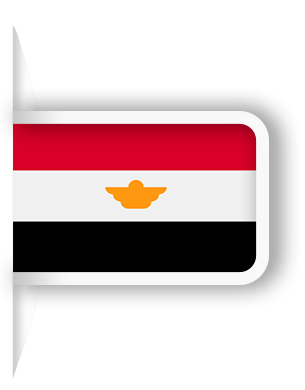 سرور اختصاصی مصر